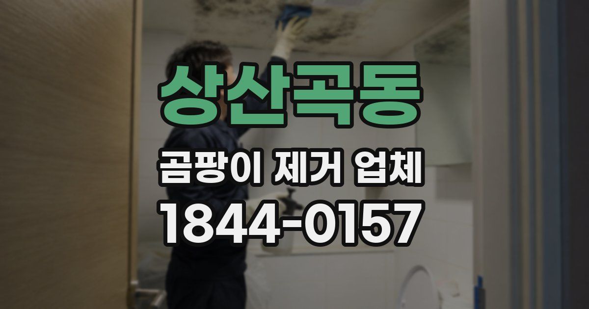 상산곡동 곰팡이 제거 업체