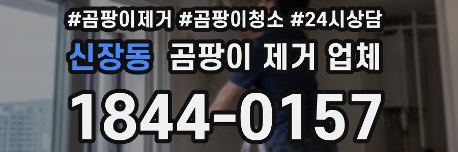 신장동 곰팡이 제거 업체