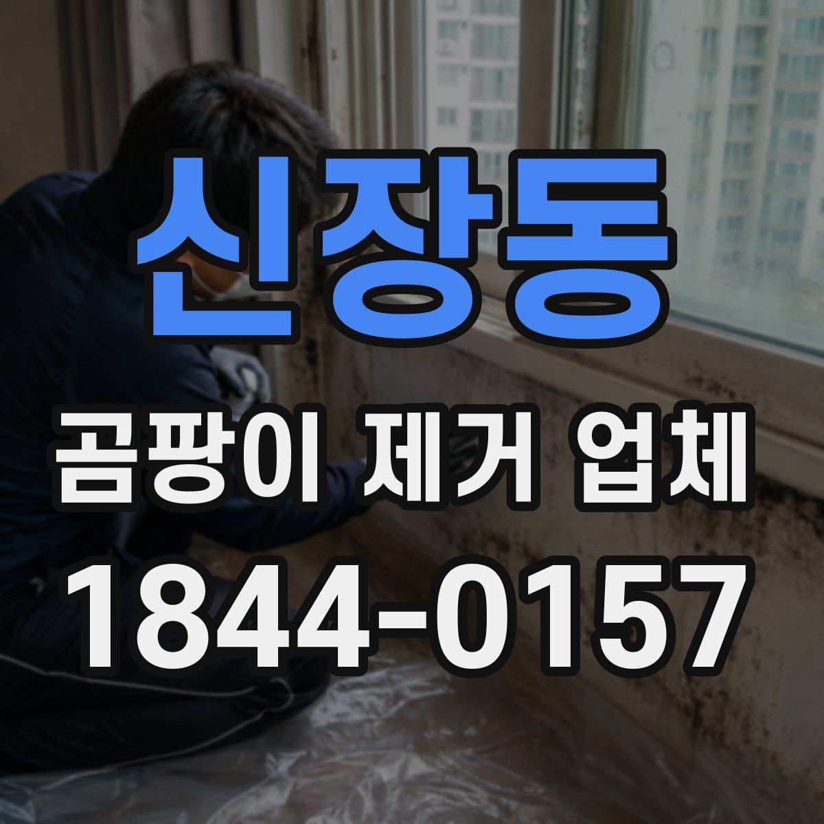 신장동 곰팡이 제거 업체