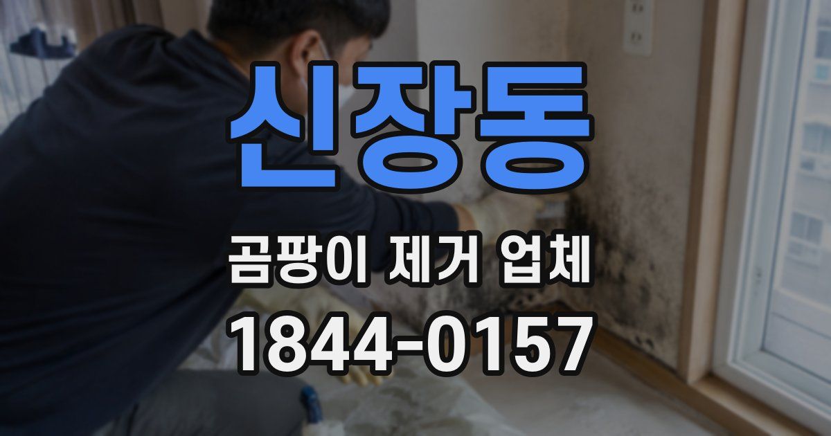 신장동 곰팡이 제거 업체