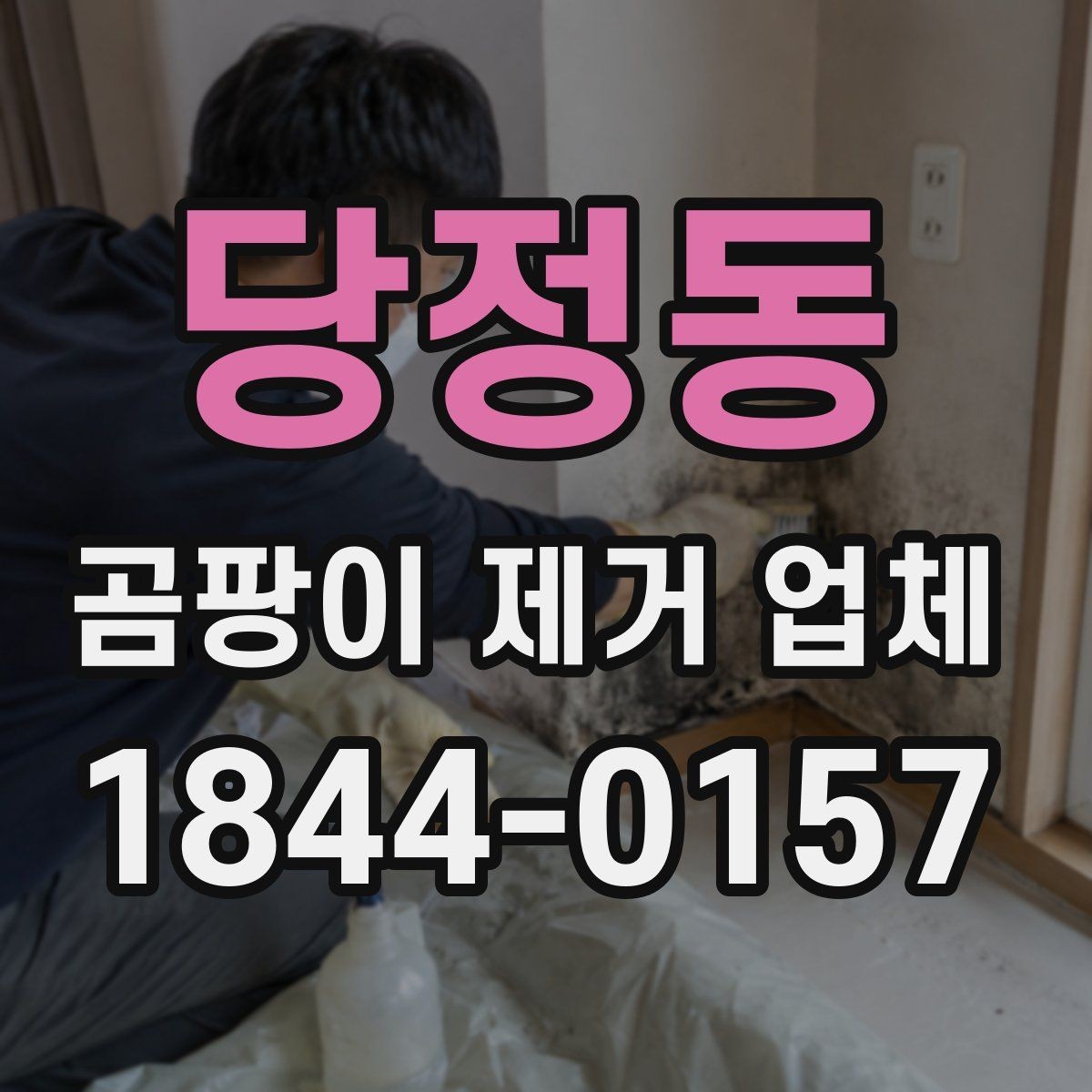 당정동 곰팡이 제거 업체 목재 마감재에 생기는 오염 특징