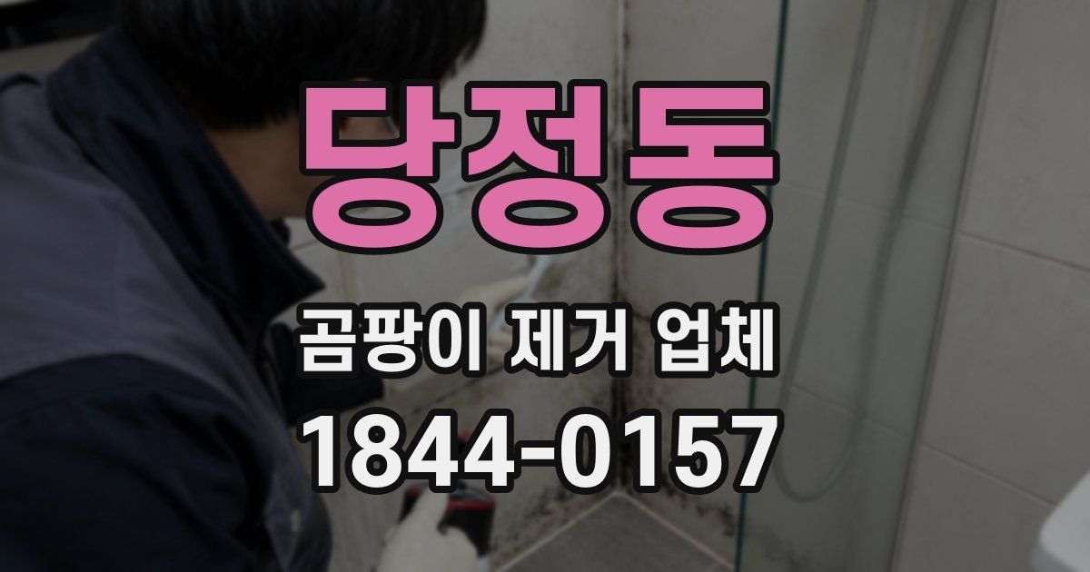 당정동 곰팡이 제거 업체