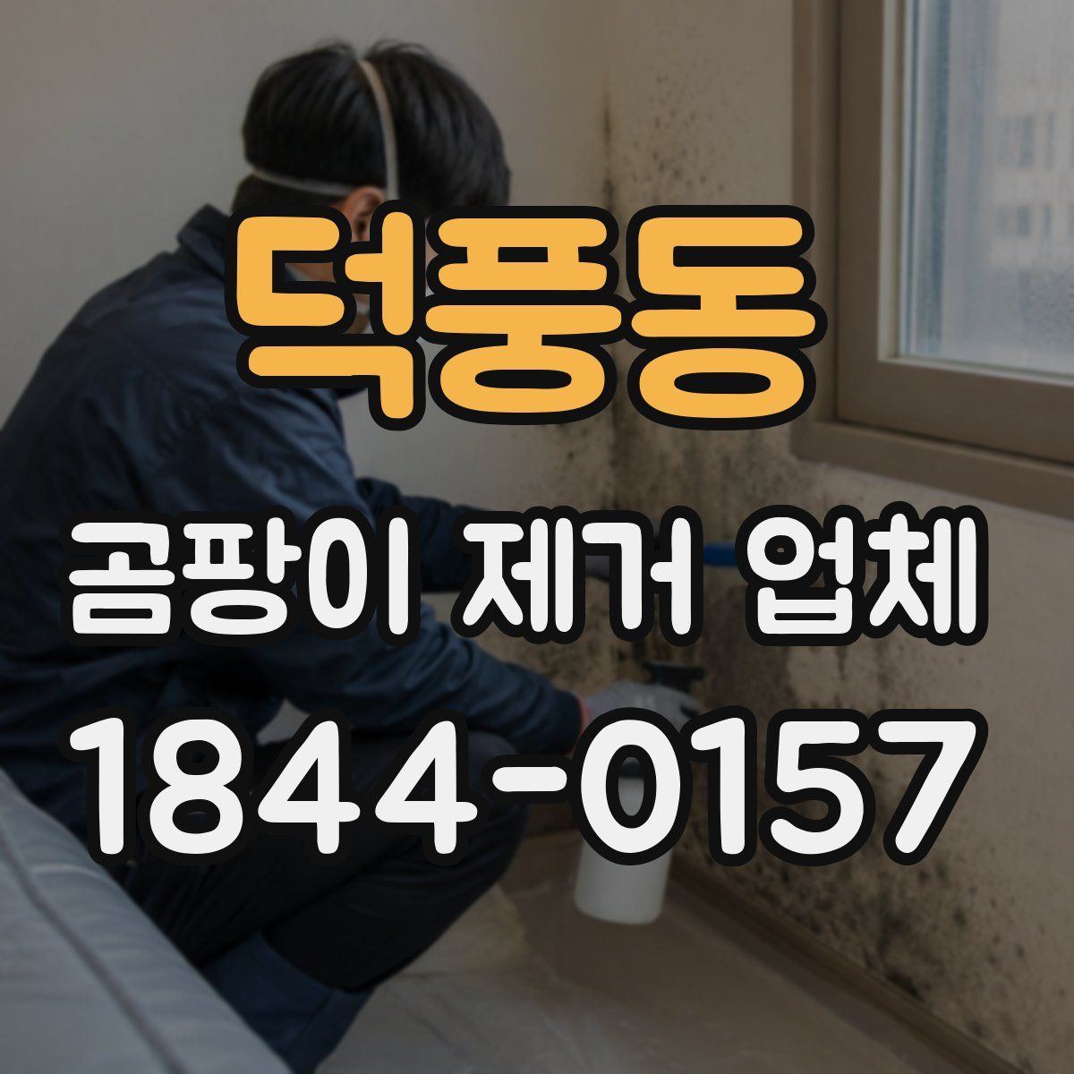 덕풍동 곰팡이 제거 업체