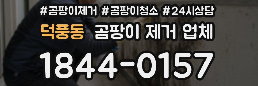 덕풍동 곰팡이 제거 업체