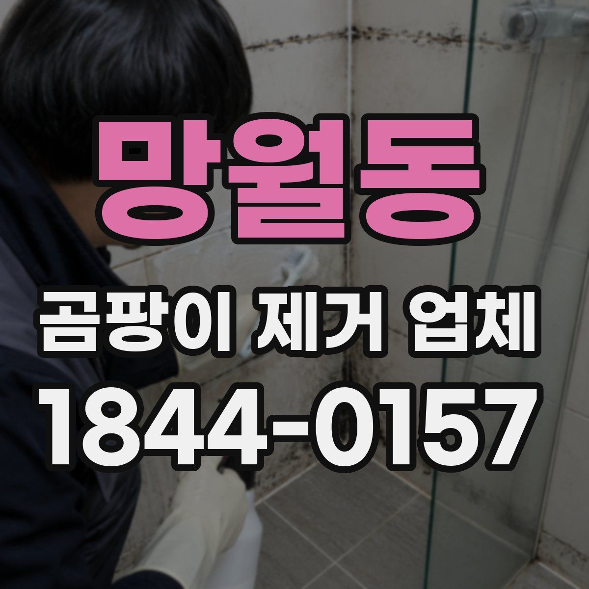 망월동 곰팡이 제거 업체