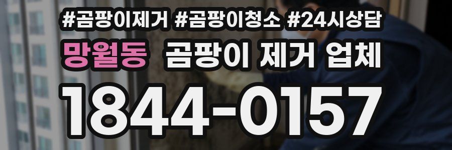 망월동 곰팡이 제거 업체
