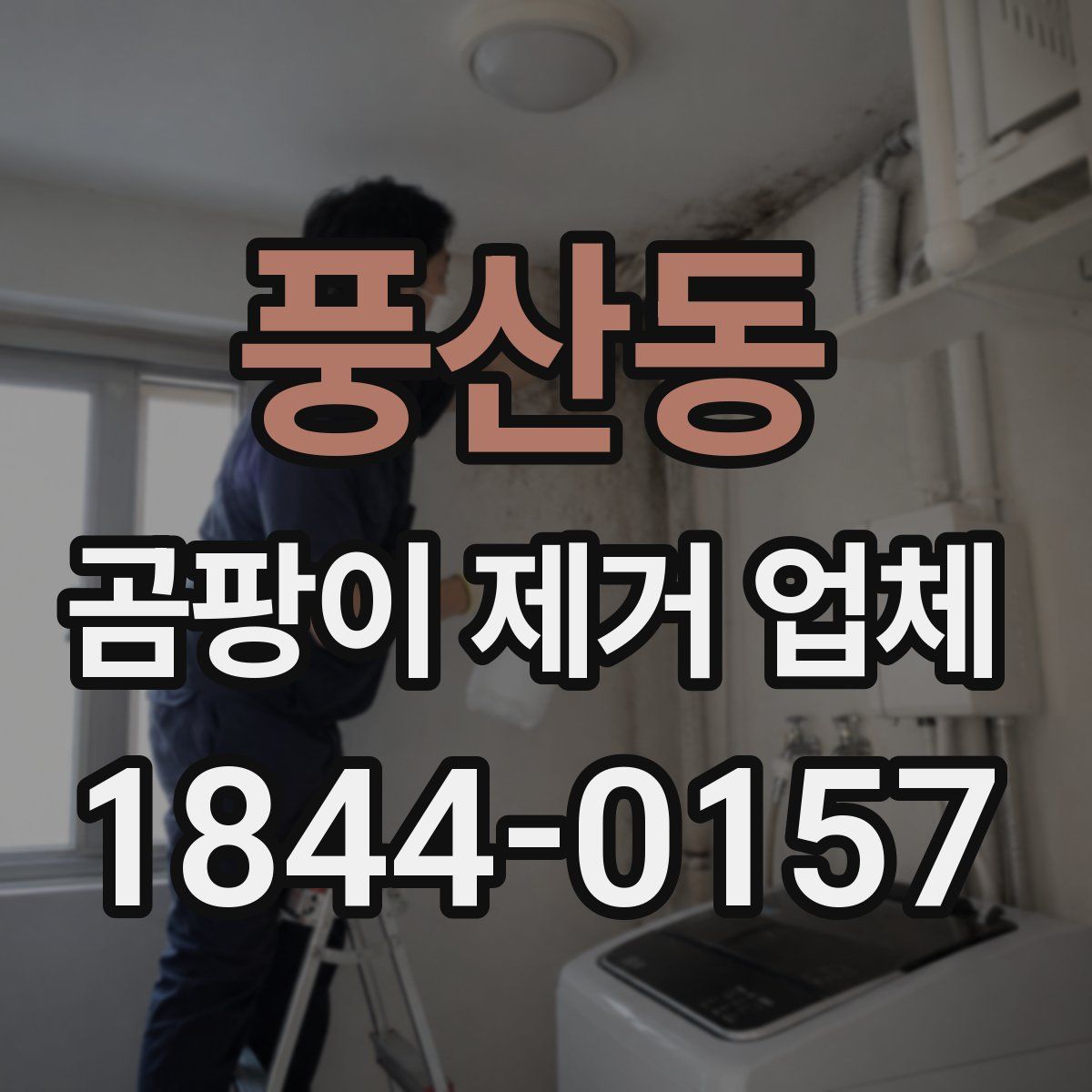 풍산동 곰팡이 제거 업체