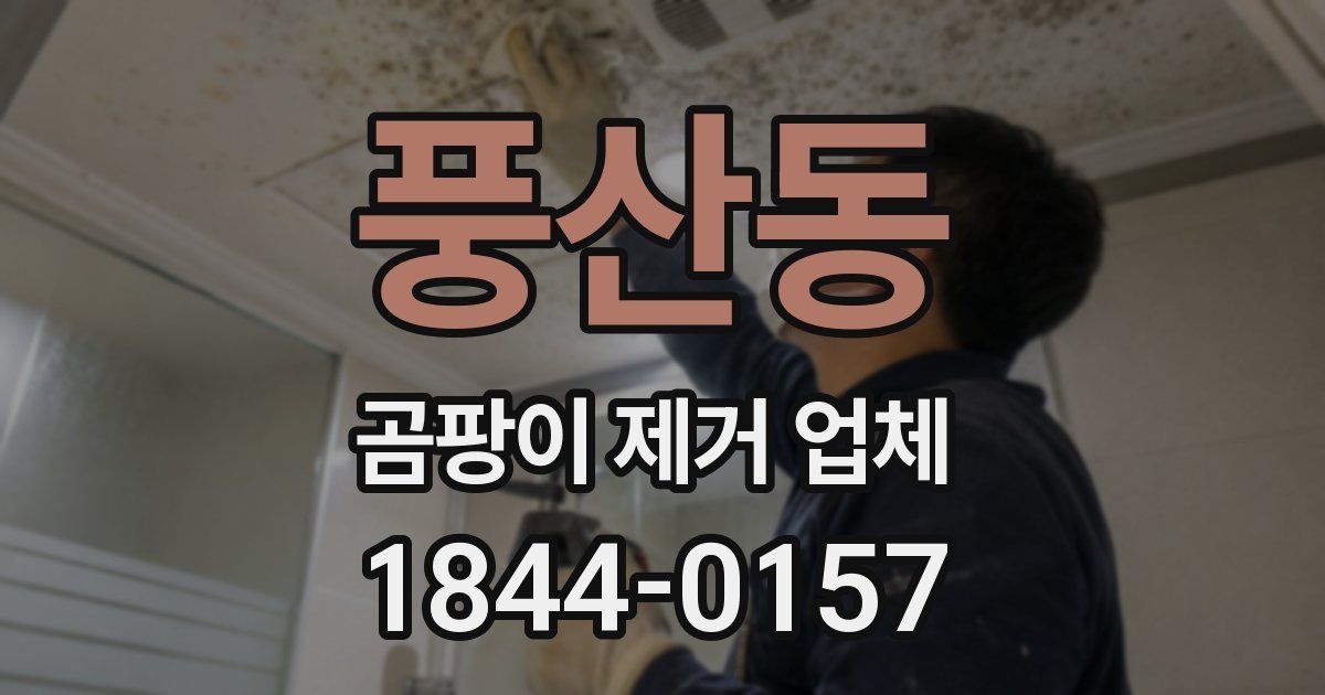풍산동 곰팡이 제거 업체