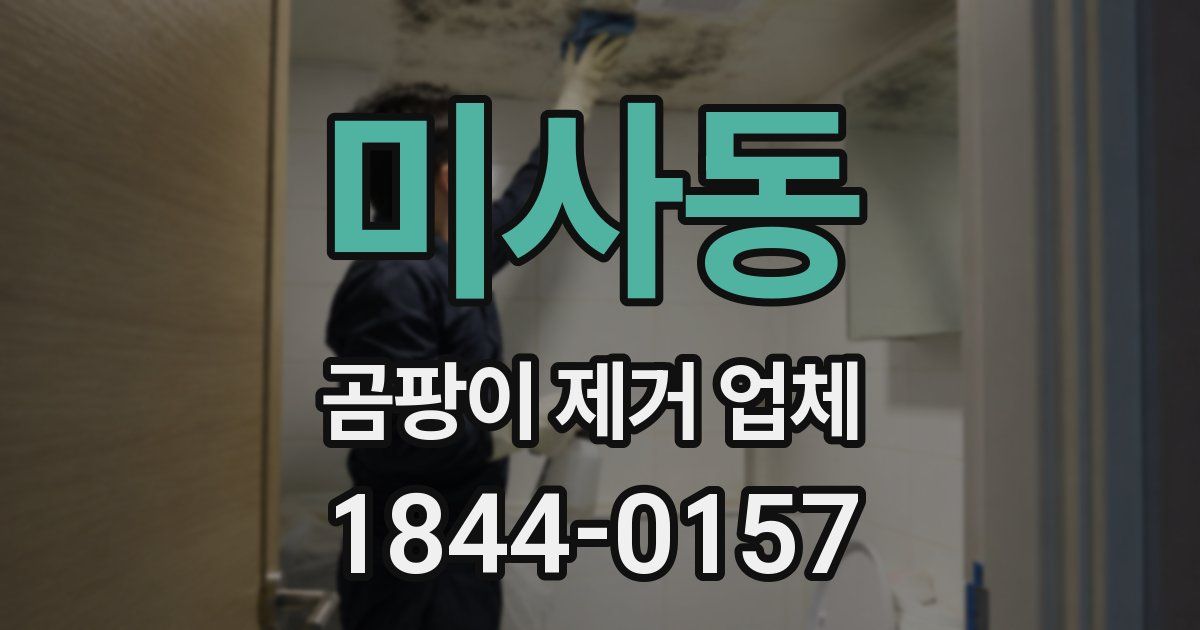 미사동 곰팡이 제거 업체