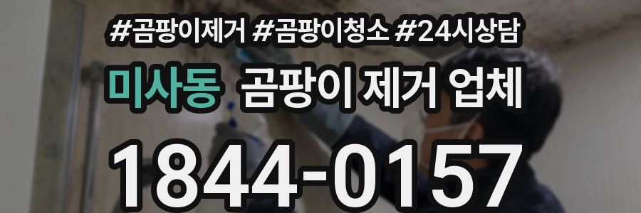 미사동 곰팡이 제거 업체