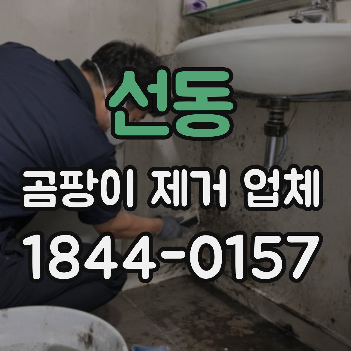 선동 곰팡이 제거 업체