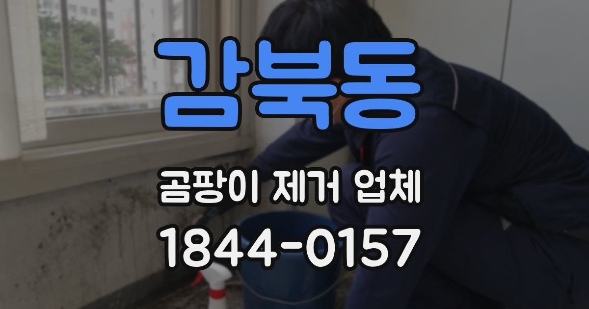 감북동 곰팡이 제거 업체