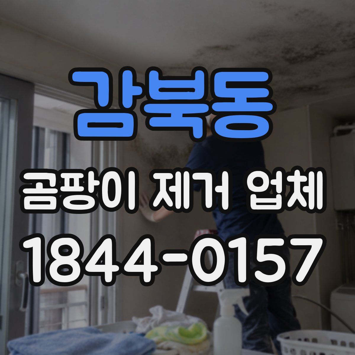 감북동 곰팡이 제거 업체