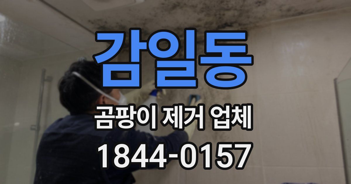 감일동 곰팡이 제거 업체