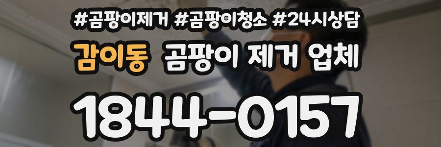 감이동 곰팡이 제거 업체