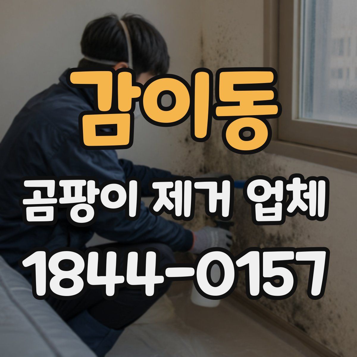 감이동 곰팡이 제거 업체