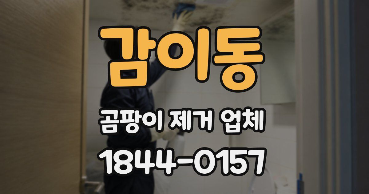 감이동 곰팡이 제거 업체