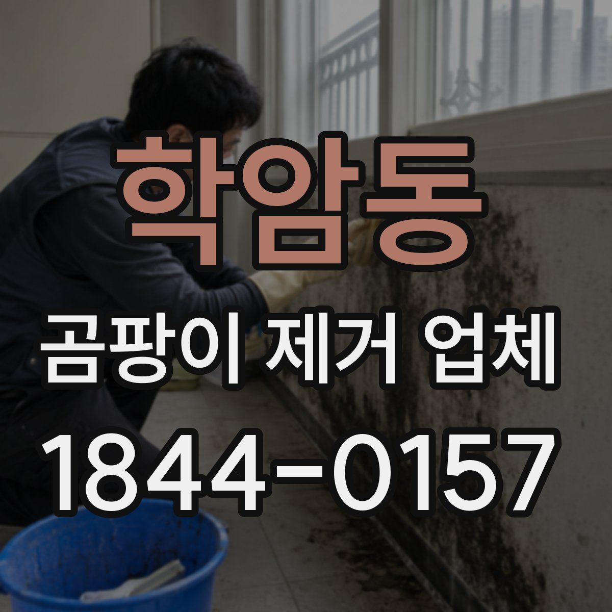 학암동 곰팡이 제거 업체