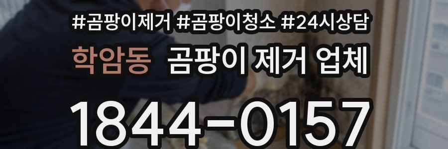 학암동 곰팡이 제거 업체