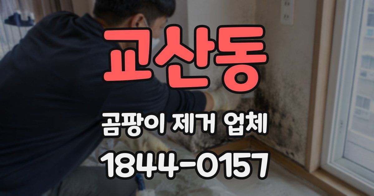 교산동 곰팡이 제거 업체