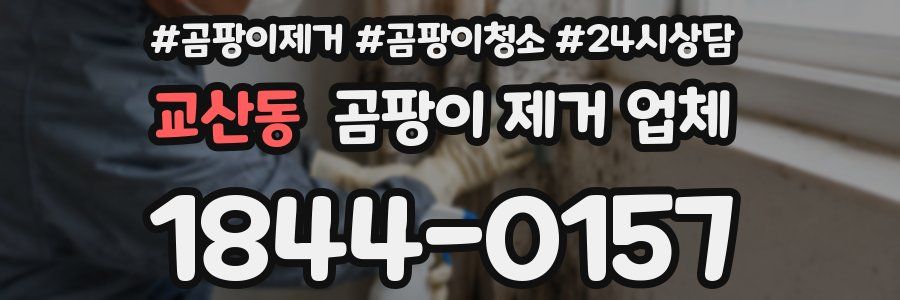 교산동 곰팡이 제거 업체