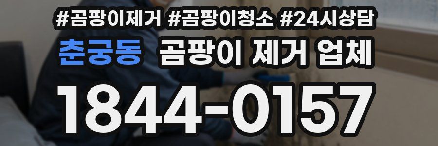 춘궁동 곰팡이 제거 업체