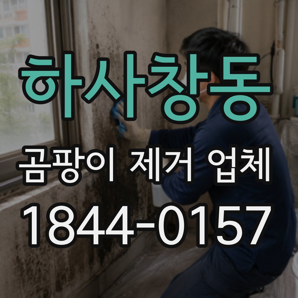하사창동 곰팡이 제거 업체