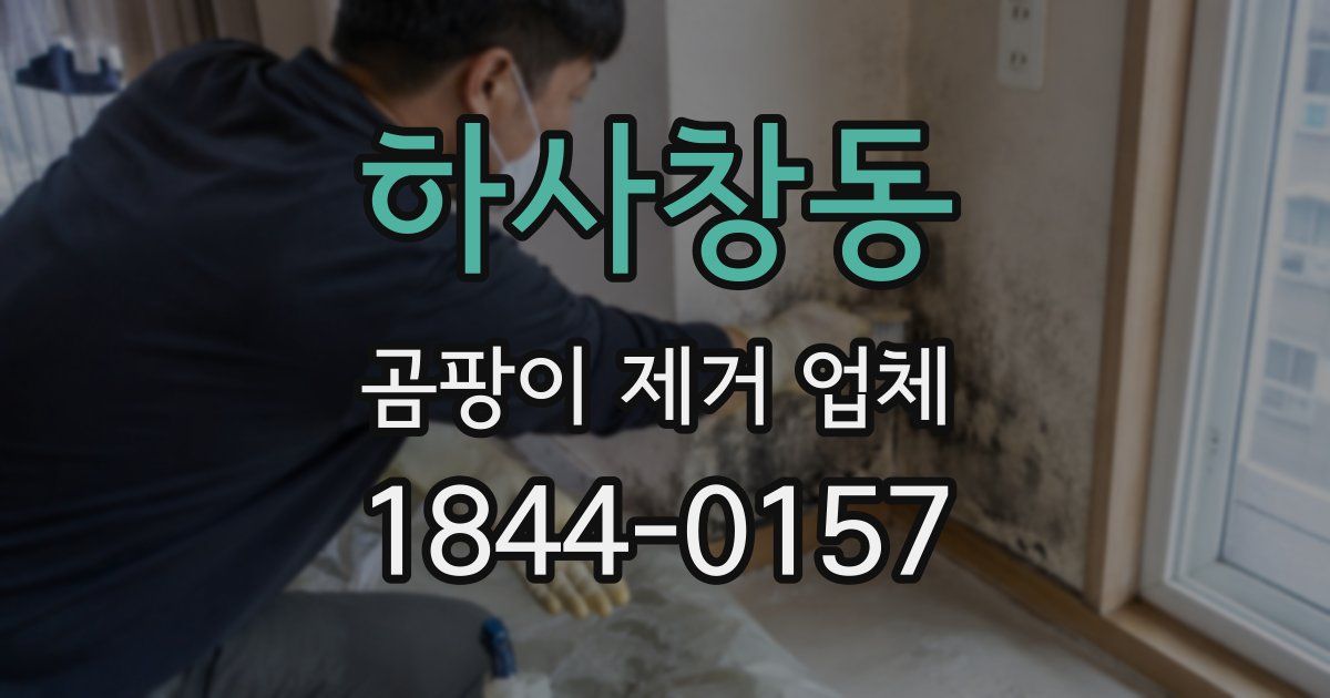 하사창동 곰팡이 제거 업체