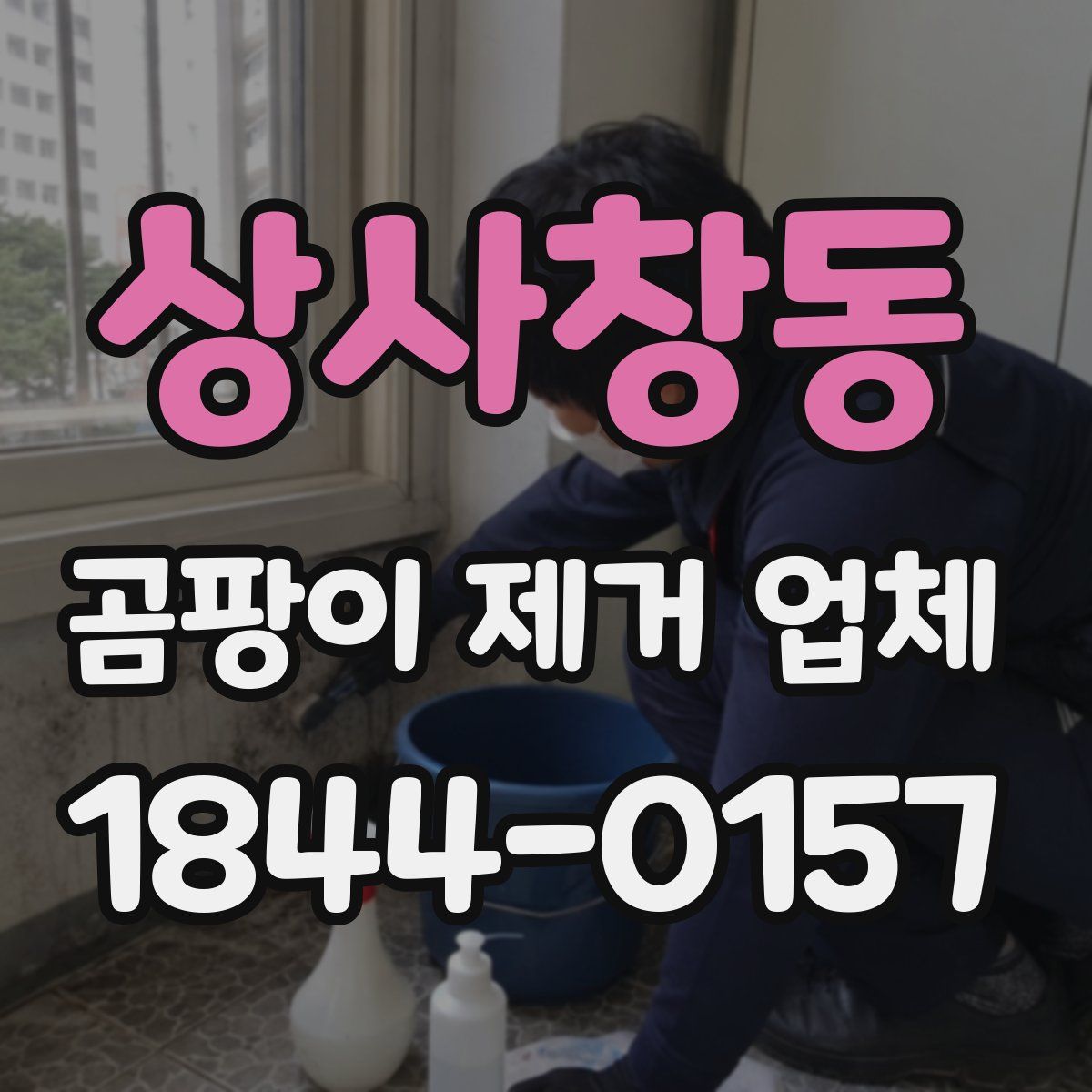 상사창동 곰팡이 제거 업체