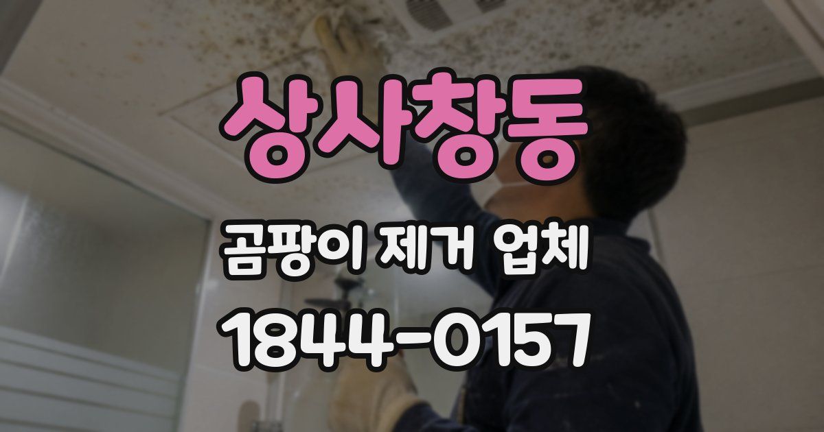 상사창동 곰팡이 제거 업체