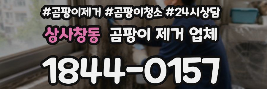 상사창동 곰팡이 제거 업체