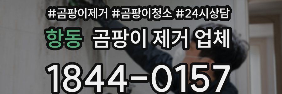 항동 곰팡이 제거 업체