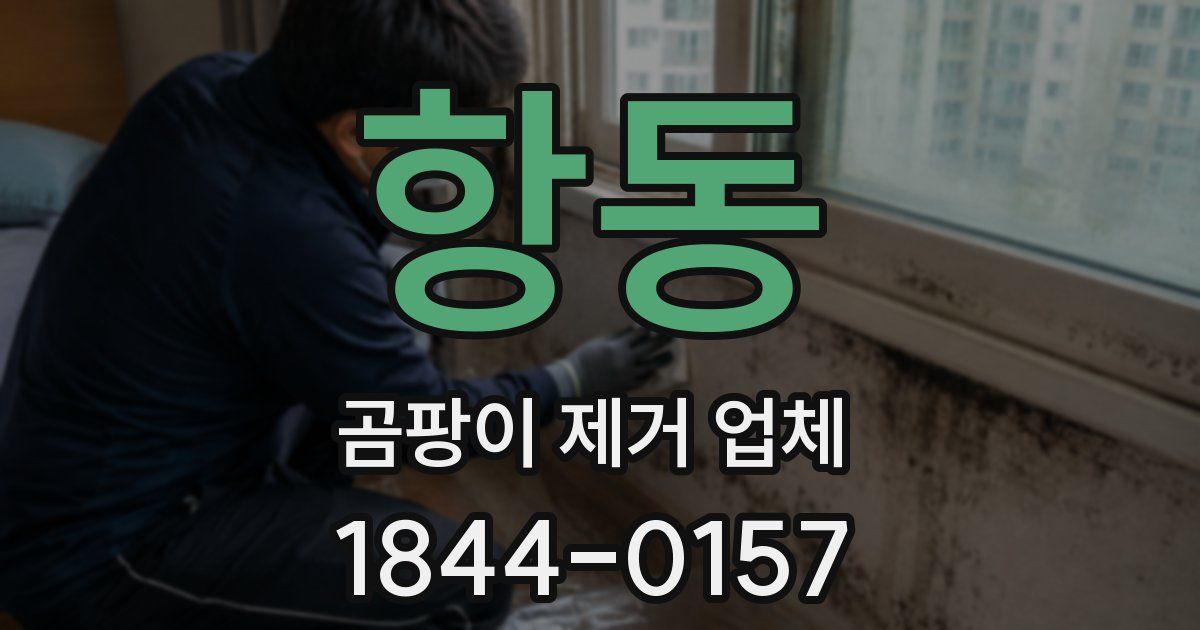 항동 곰팡이 제거 업체