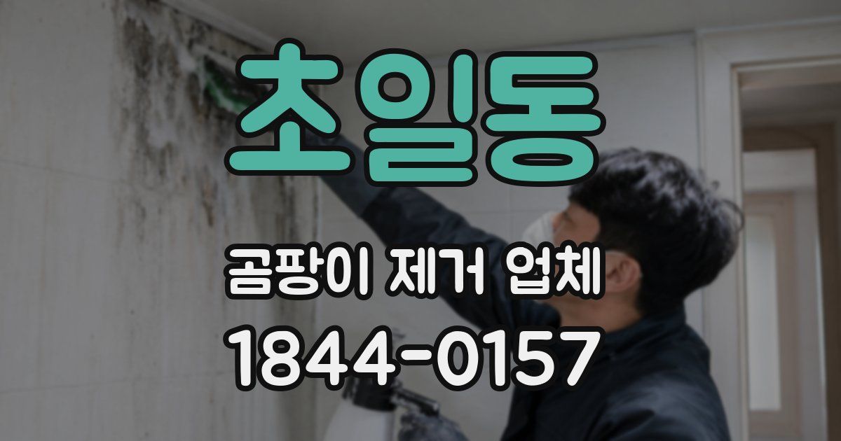 초일동 곰팡이 제거 업체