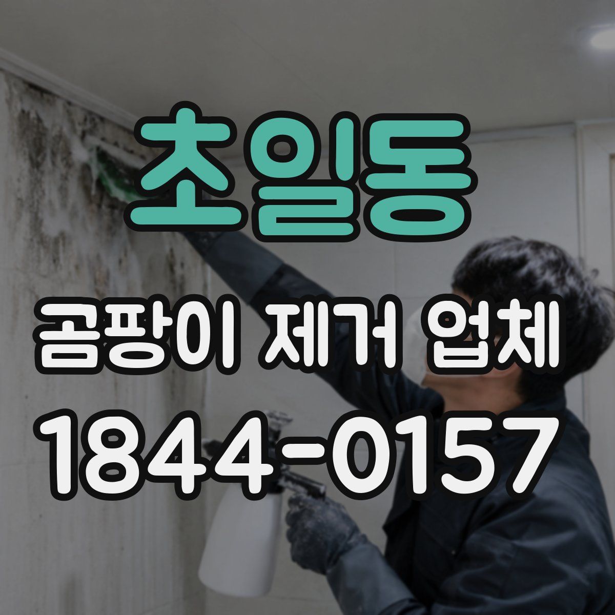 초일동 곰팡이 제거 업체