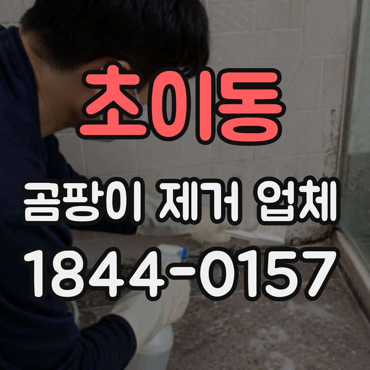 초이동 곰팡이 제거 업체