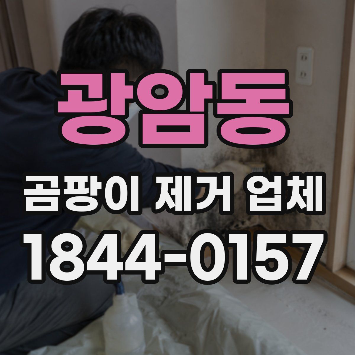 광암동 곰팡이 제거 업체