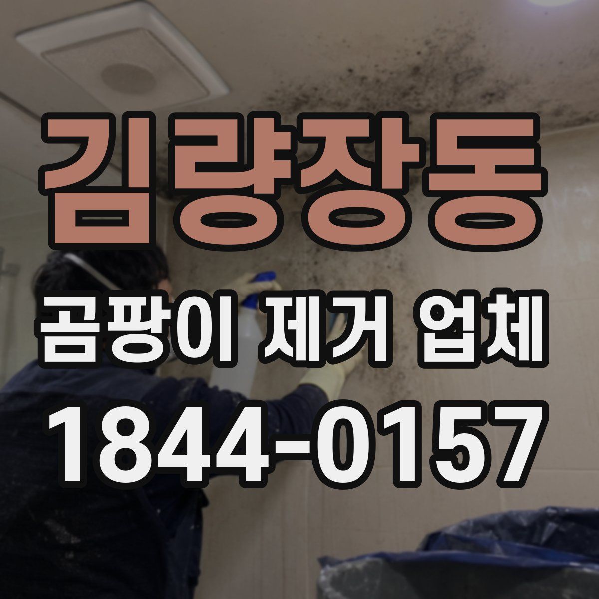 김량장동 곰팡이 제거 업체