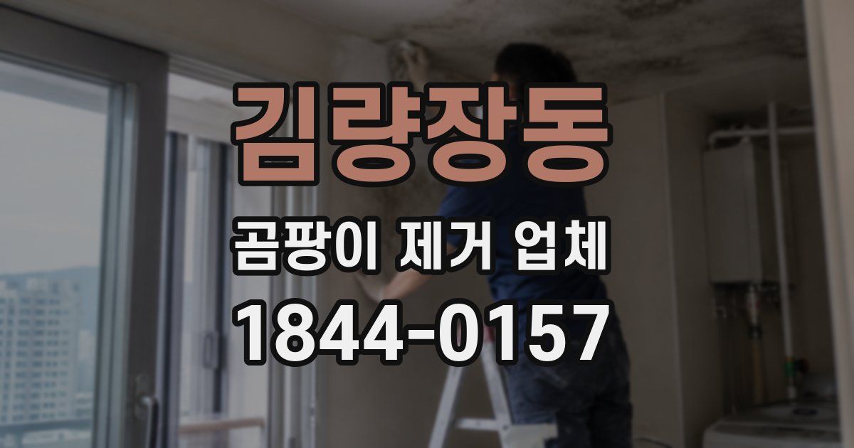 김량장동 곰팡이 제거 업체
