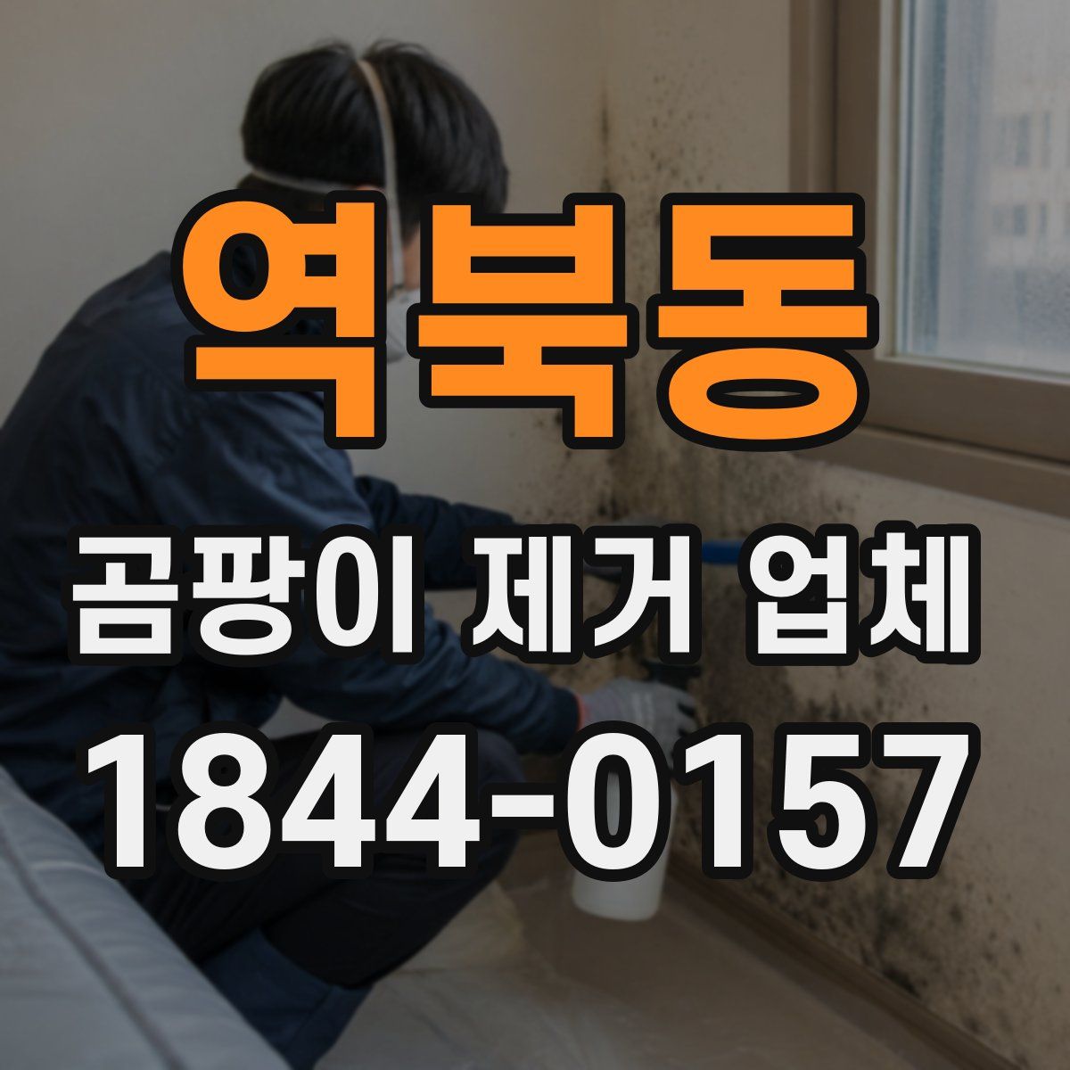역북동 곰팡이 제거 업체