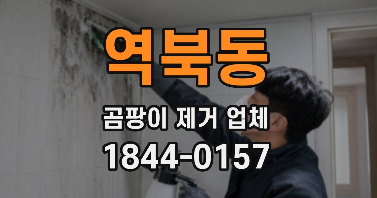 역북동 곰팡이 제거 업체