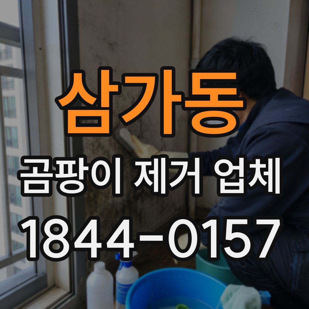 삼가동 곰팡이 제거 업체