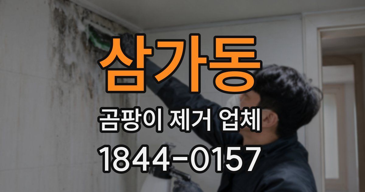 삼가동 곰팡이 제거 업체