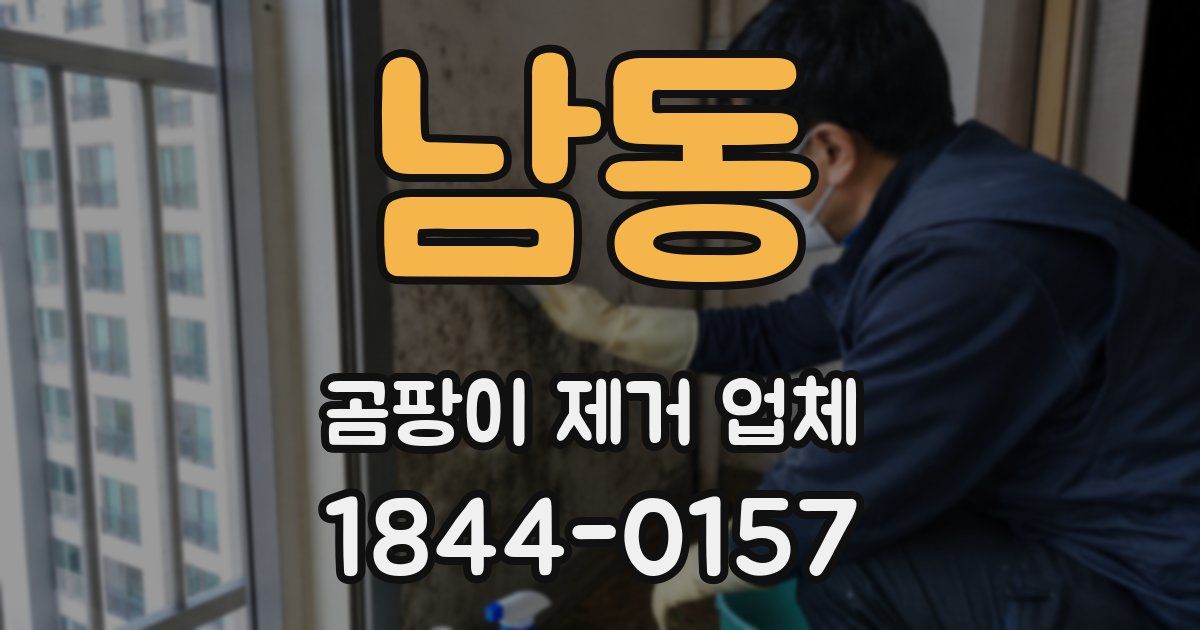 남동 곰팡이 제거 업체