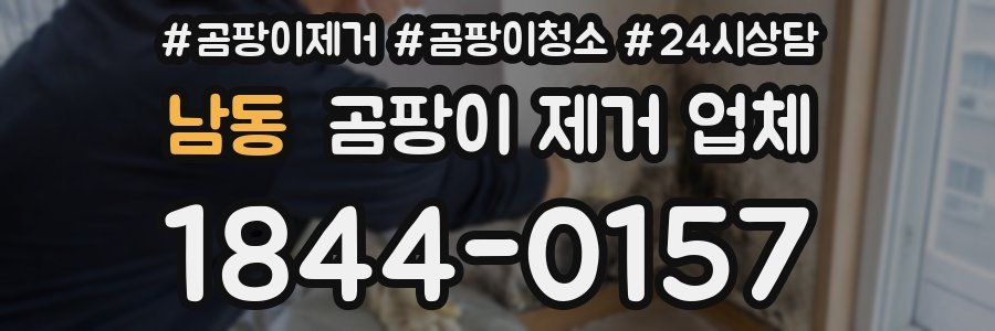 남동 곰팡이 제거 업체