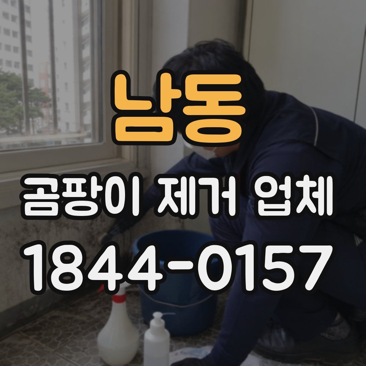남동 곰팡이 제거 업체