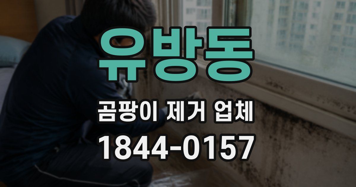 유방동 곰팡이 제거 업체
