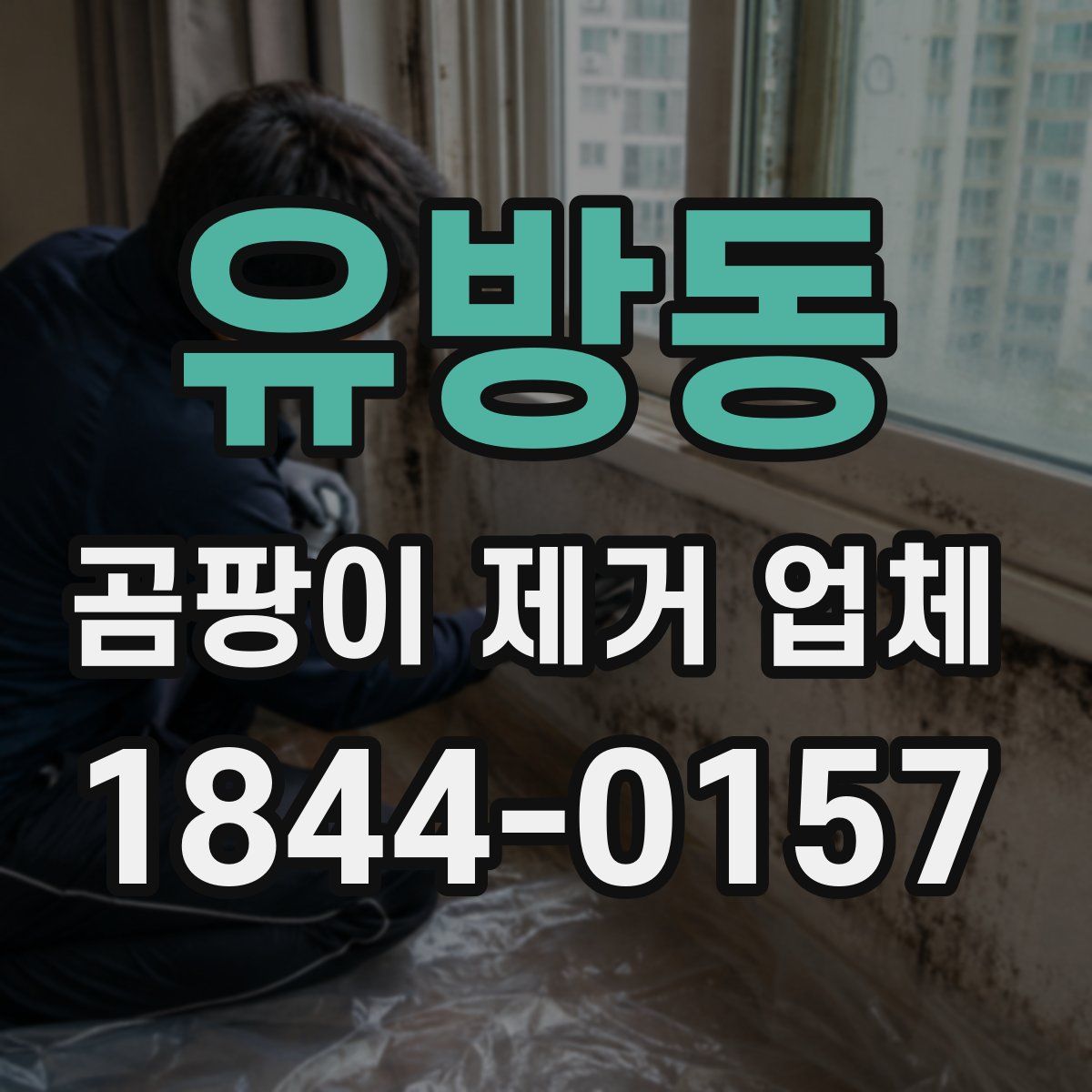 유방동 곰팡이 제거 업체