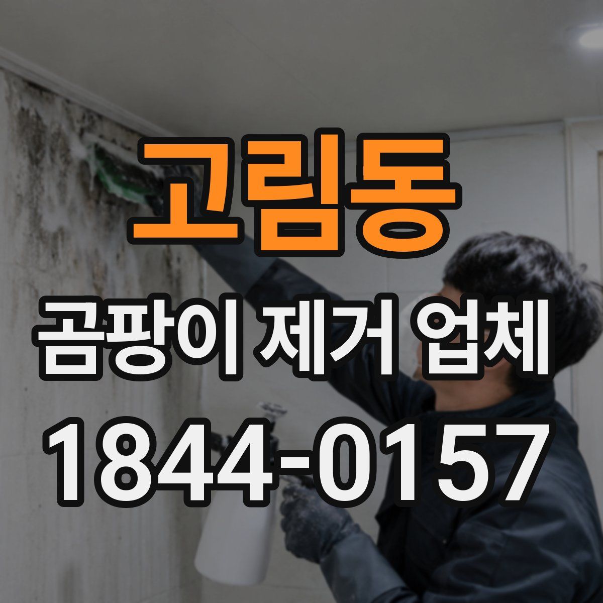 고림동 곰팡이 제거 업체