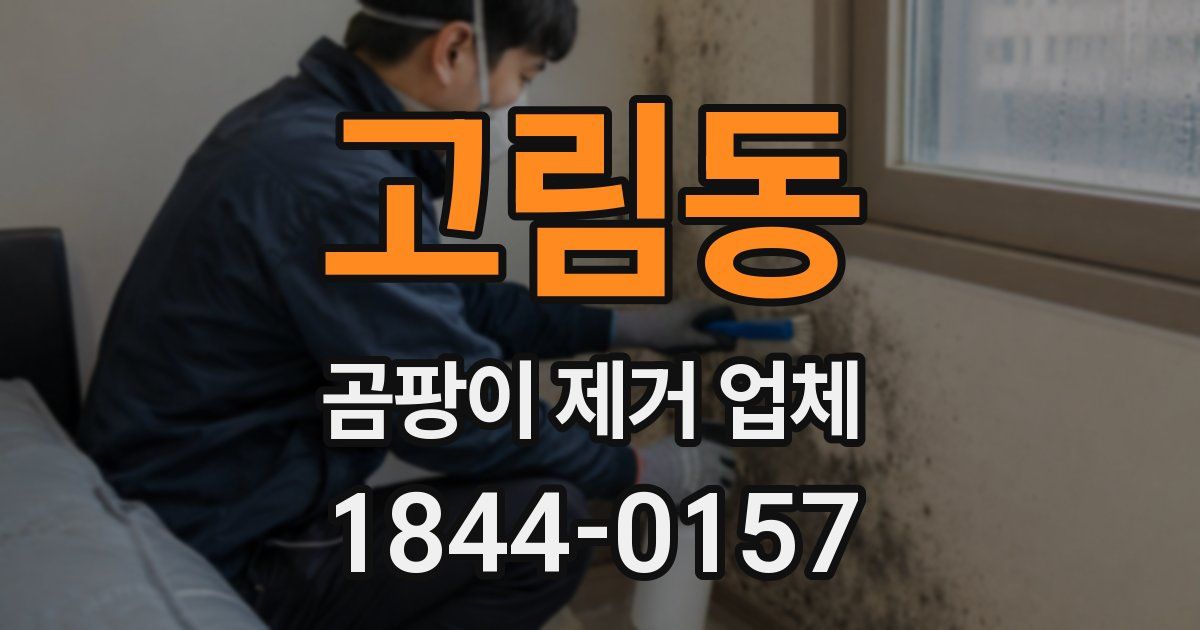 고림동 곰팡이 제거 업체